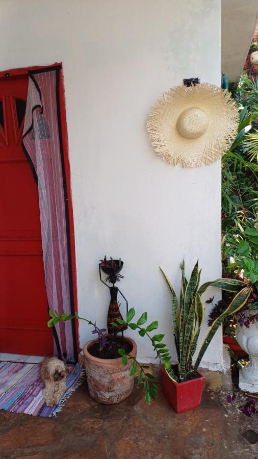 La Petite Maison De Diana Asuncion Exterior photo